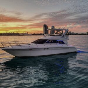 55’ Sea Ray Sedan Bridge